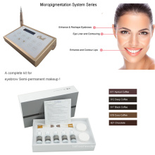 Système innovant de micropigmentation Système Machine de maquillage numérique permanente 0-1
